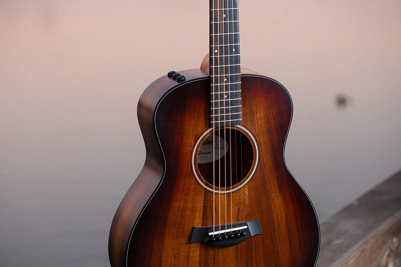 Фото TAYLOR GS Mini-e Koa Plus