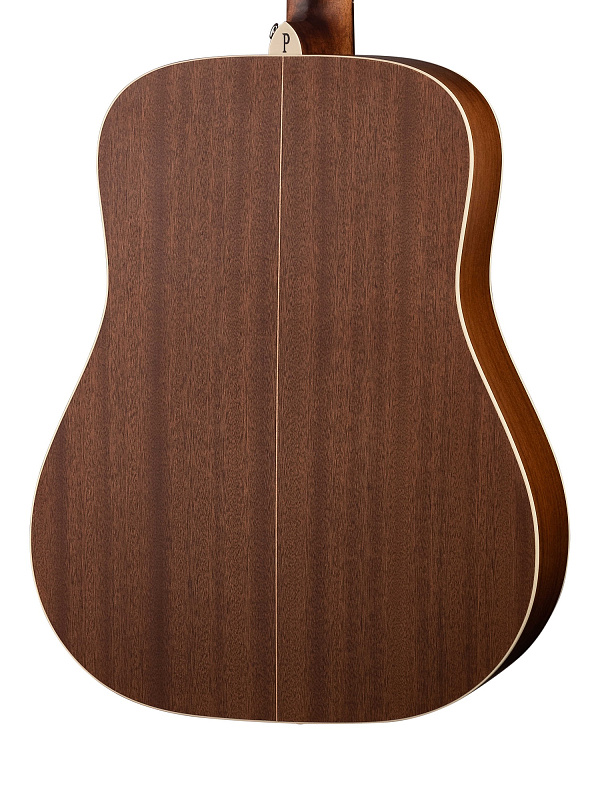 Фото Акустическая гитара Parkwood S21-GT