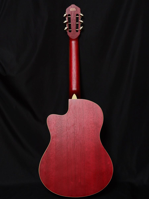 Фото Гитара Livingstone Folkblues RD 39"с вырезом