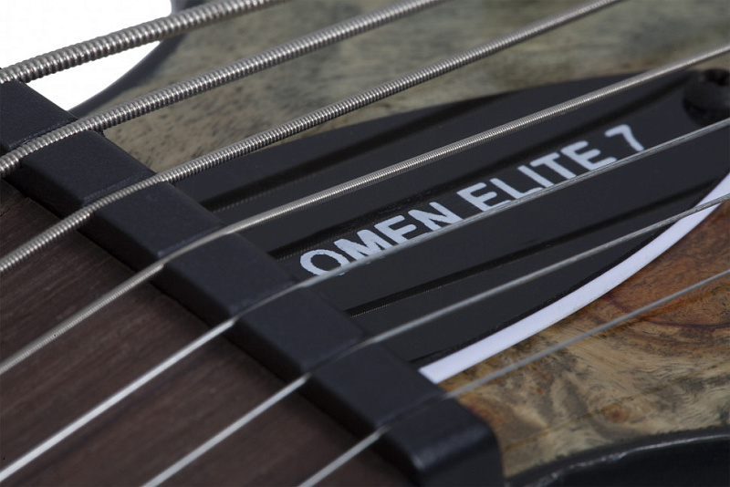 Фото Электрогитара Schecter OMEN ELITE-7 CHAR