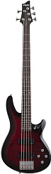 Бас гитара Schecter C-5 Plus STCB