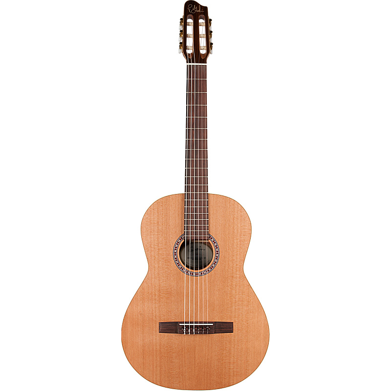 Фото Godin CONCERT