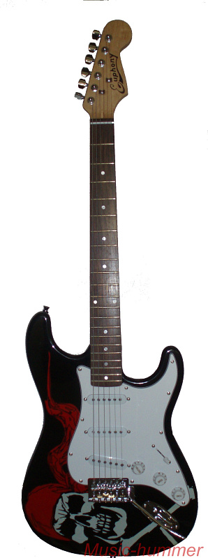 Фото Электрогитара Euphony Pirat