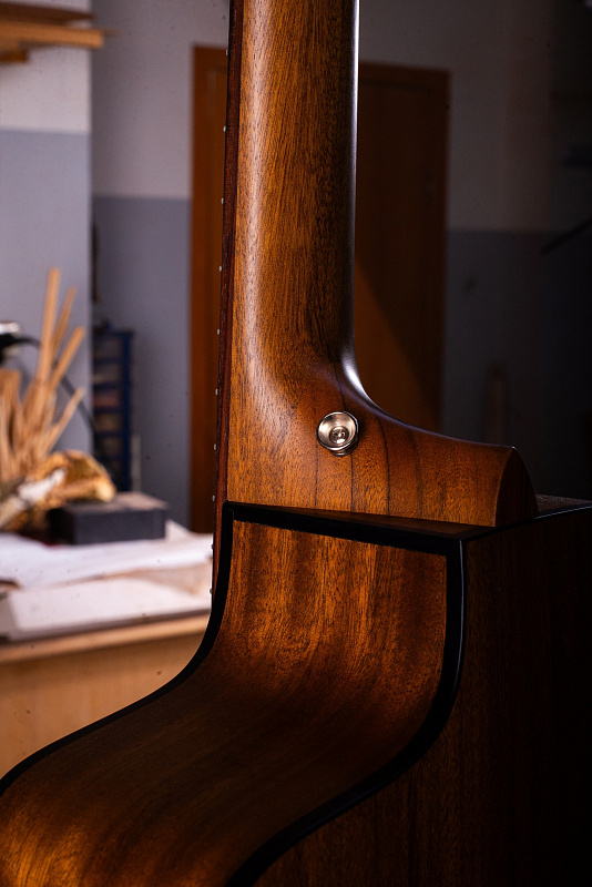 Фото Акустическая гитара NewTone Berlandiera GA CED C N