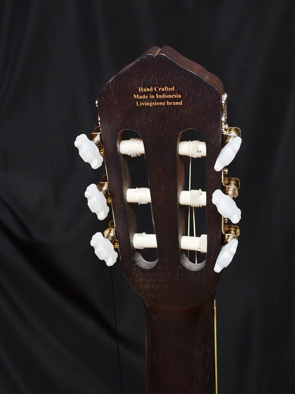 Фото Гитара классическая Livingstone Opera BK