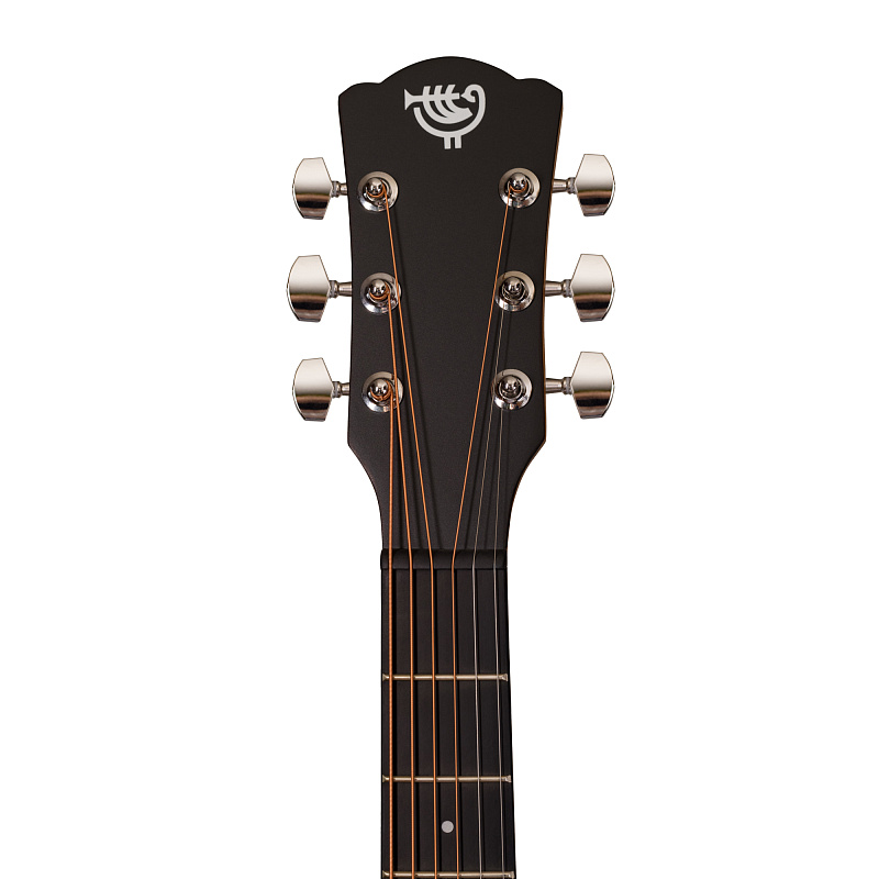 Фото Акустическая гитара ROCKDALE Aurora D3 Satin C BK
