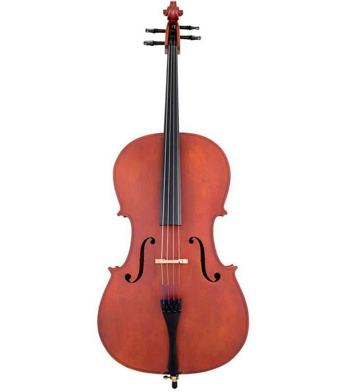 Фото Виолончель студенческая 1/2 в футляре со смычком Scherl & Roth SR43E2H Arietta