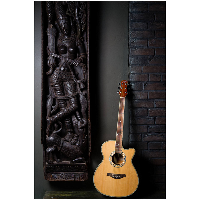 Фото Акустическая гитара FLIGHT F-230C NA 