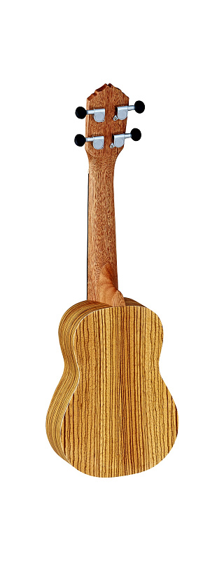 Фото Ortega RFU10ZE Friends Series