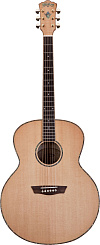 WASHBURN WJ45S