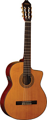 WASHBURN C44CE