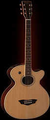 Washburn WB200SCEK