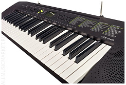 Синтезатор CASIO CTK-240