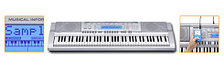 Синтезатор CASIO WK-210