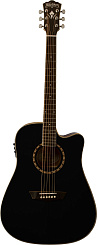 WASHBURN WD10SCE B