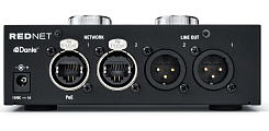 FOCUSRITE RedNet AM2