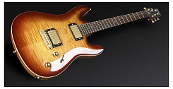 Framus 174681T015CPAFTFFL