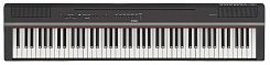 Yamaha P-125B