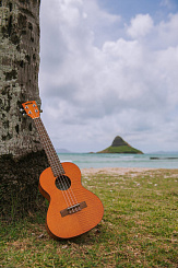 KALA KA-CEM Kala Concert Exotic Mahogany Ukulele