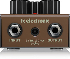 TC ELECTRONIC ECHOBRAIN ANALOG DELAY