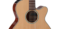 TAKAMINE LEGACY TSF40C