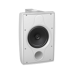 Всепогодная акустическая система TANNOY DVS 8 WH