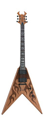 B. C. Rich SVITLFN