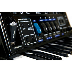 Цифровой аккордеон Roland FR-1x (Black)