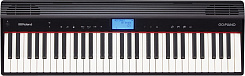 Roland GO-61P