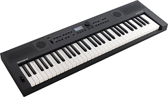 Цифровые пианино Roland GO:KEYS-5-GT