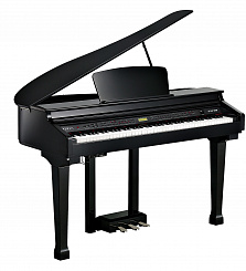 Цифровой рояль Kurzweil KAG100 EP, цвет чёрный