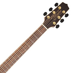 TAKAMINE G90 SERIES GY93