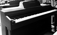 Цифровое пианино Amadeus piano AP-900 black