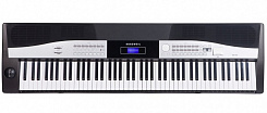 Kurzweil KA110