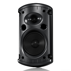 Turbosound IMPACT TCI52-T