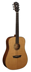 WASHBURN WD160SW