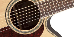 TAKAMINE GD71CE NAT