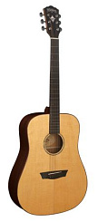 WASHBURN WD250SW